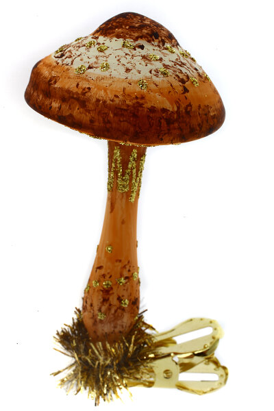 Die Natur ist unser Vorbild!

Der Parasolpilz Christbaumschmuck erinnert an die Eleganz...