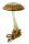 Die Natur ist unser Vorbild!

Der Pilz als Christbaumschmuck aus der Familie der Weihna...