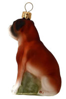 Boxer