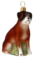 Boxer