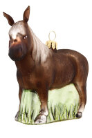 Pony braun