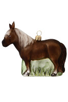 Pony braun