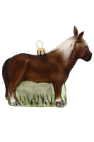 Pony braun