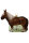 Pony braun