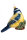 Blaumeise
