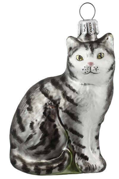 Stubenkater grau