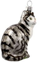 Stubenkater grau
