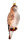 Turmfalke