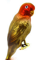 Vogel Papagei Unzertrennliche Erdbeerköpfchen