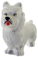 West Highland Terrier weiß