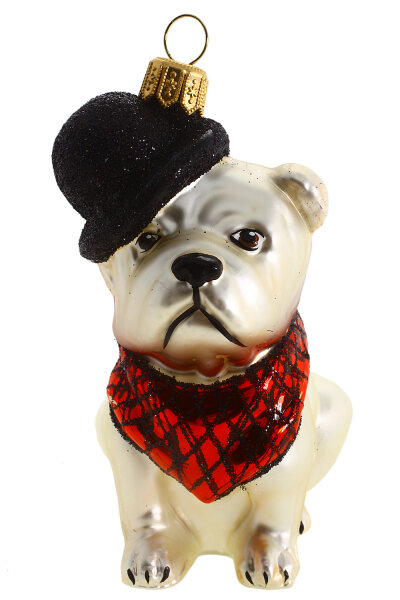 Französische Bulldog in Bowler