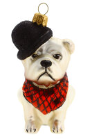 Französische Bulldog in Bowler