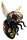 Große Hummel