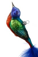 Vogel blau
