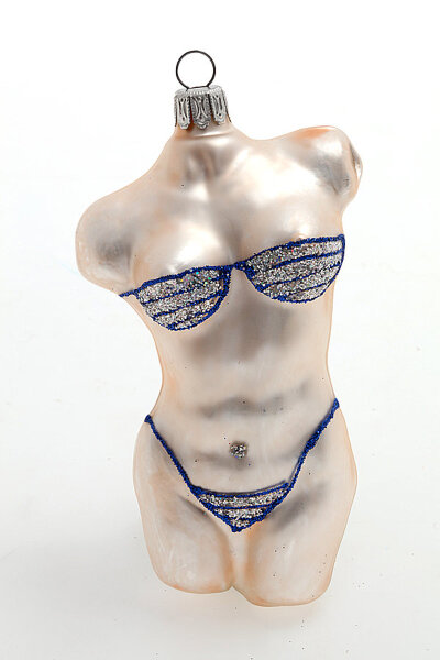 Weiblicher Bikini Torso in blau