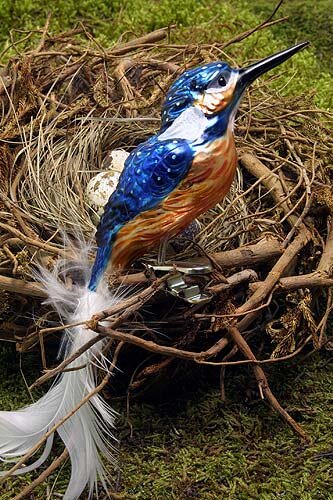 Eisvogel blau