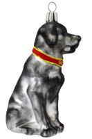 Labrador grau/weiss