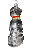 Labrador grau/weiss