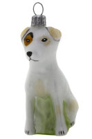 Jack Russel in weiß