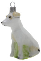 Jack Russel in weiß