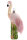 Flamingo rosa