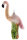 Flamingo rosa