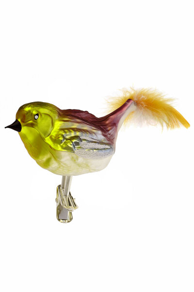 Dicker Vogel bunt