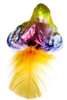 Dicker Vogel bunt