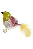 Dicker Vogel bunt
