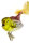 Dicker Vogel bunt