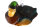 Stockente