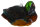 Stockente