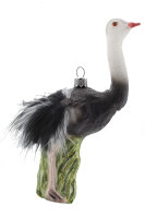 Vogel Strauß