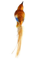 Lustiger Singvogel