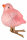 Osterküken in rosa