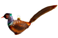 Vogel Fasan