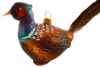 Vogel Fasan