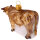 Bulle Stier Ochse