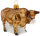Bulle Stier Ochse