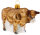 Bulle Stier Ochse