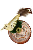 Vogelnest mit Vogel