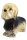 Dandie Dinmont Terrier Pärchen (2 Stück)