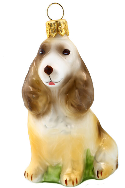 Cockerspaniel Emmy