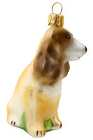 Cocker Spaniel Emmy: Anmut und Eleganz in Hundegestalt