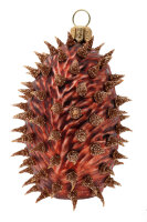 Igel