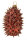 Igel