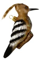 Der etwa drosselgroße, aber bedeutend größer wirkende Vogel
